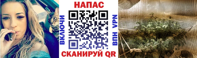 Где купить наркотики Хвалынск Альфа ПВП  Меф мяу мяу  Гашиш  Амфетамин  Бошки Шишки 