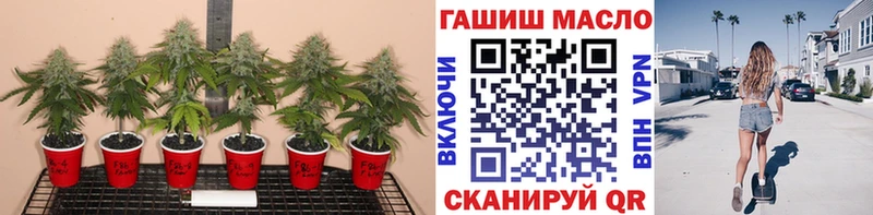 ТГК вейп с тгк  Хвалынск 
