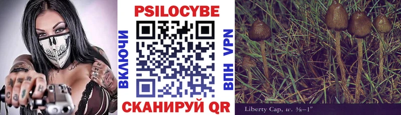 Галлюциногенные грибы Cubensis  Хвалынск 