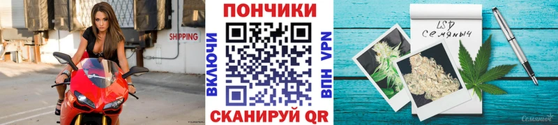 Канабис сатива  Хвалынск 