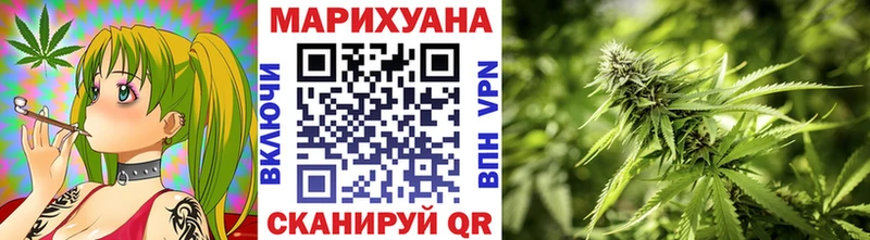 Каннабис сатива Хвалынск